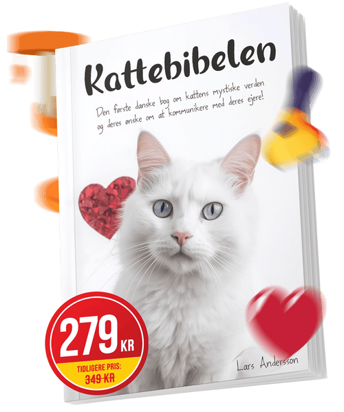 Kommunikation ifølge Kattbibelen (bog) + 4x e-bøger